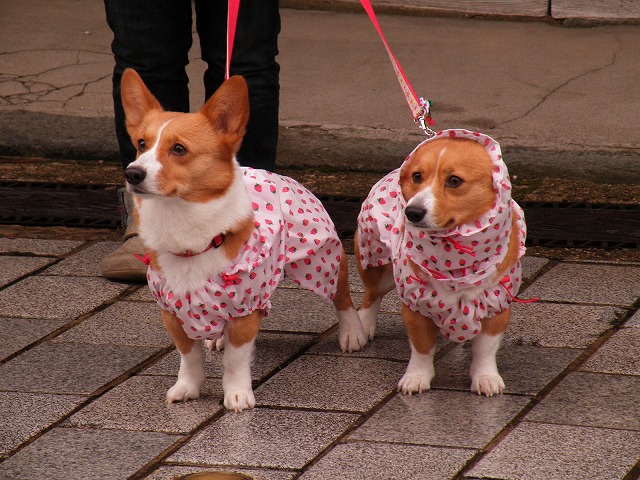 c0127617_2135421.jpg
