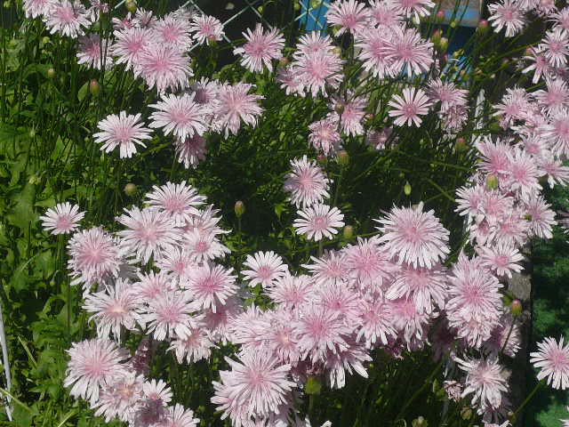 e0026017_1345391.jpg