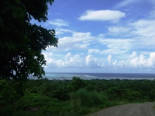 a0043520_2354098.jpg