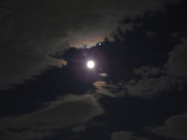 b0169321_14352131.jpg