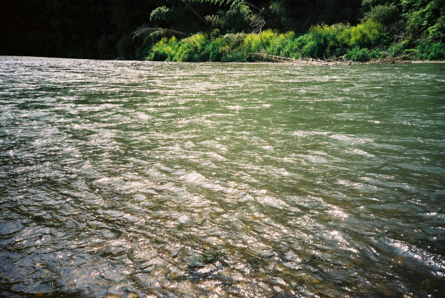 b0169321_15103883.jpg