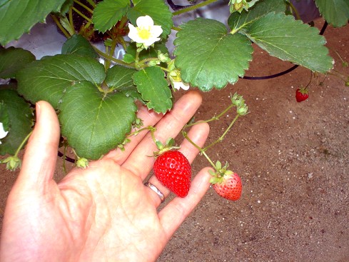 c0007822_23302353.jpg