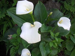 b0181027_0303721.jpg