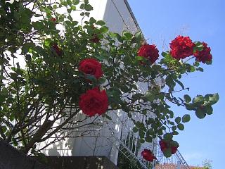 b0181027_031026.jpg