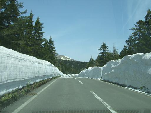 b0009228_13191716.jpg