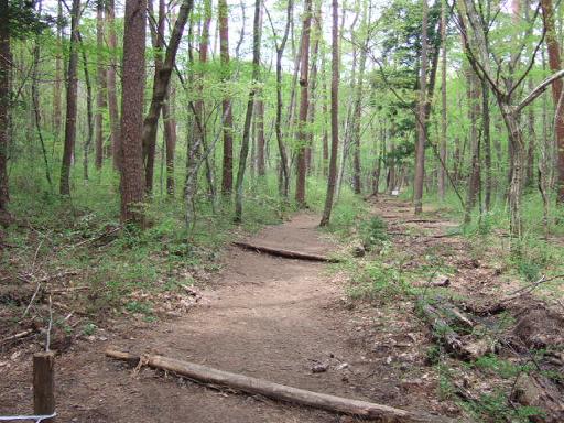 b0009228_13414129.jpg