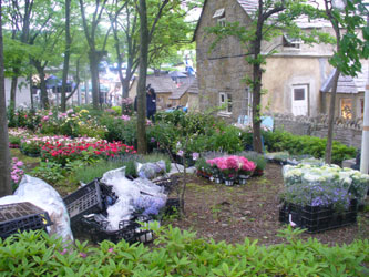 d0140329_8422548.jpg