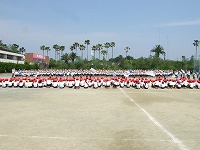 e0069234_7352491.jpg