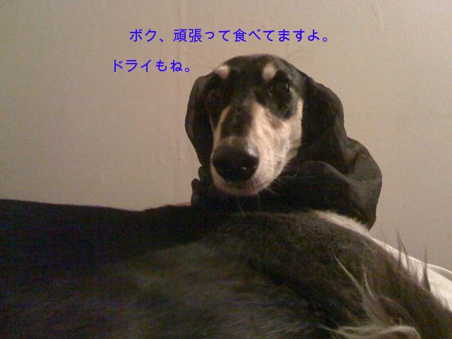 f0039538_22134919.jpg