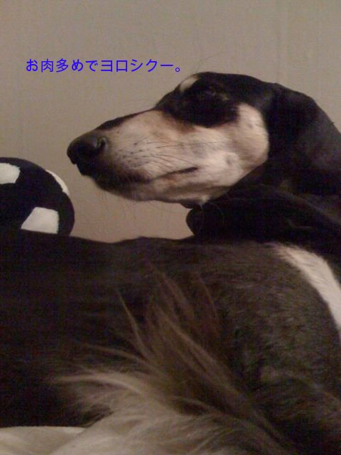 f0039538_2219377.jpg