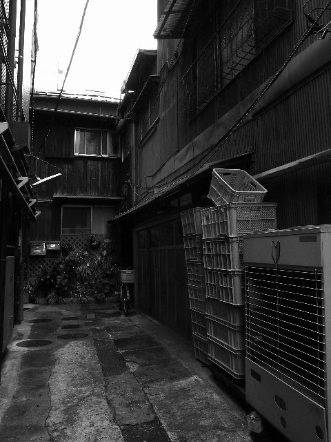 a0087341_855535.jpg