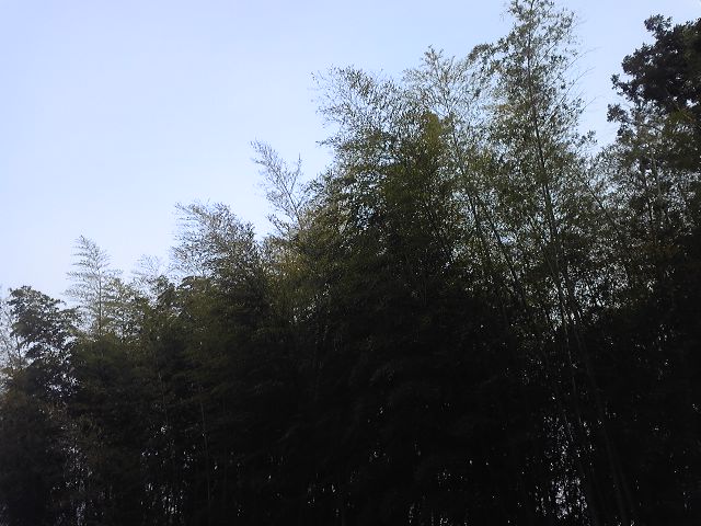 b0184643_1920846.jpg
