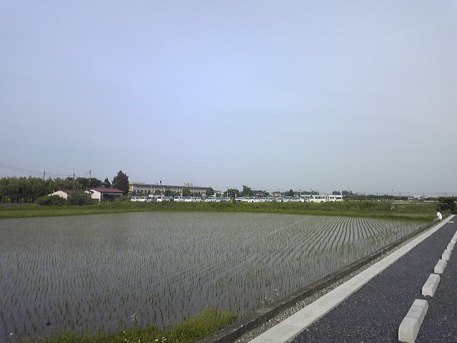 b0184643_1944100.jpg