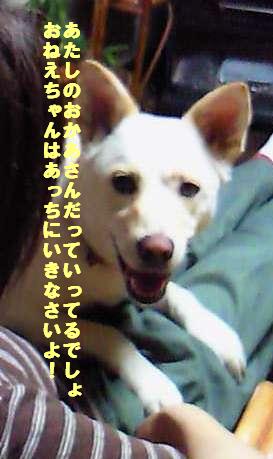 f0195543_2229278.jpg