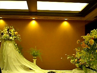 a0115346_2056881.jpg