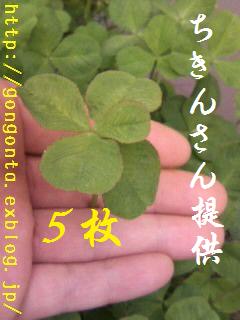 e0085147_1236866.jpg