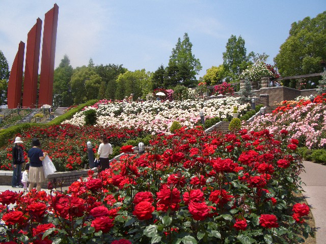 b0163750_17313735.jpg
