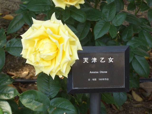 b0163750_17464647.jpg