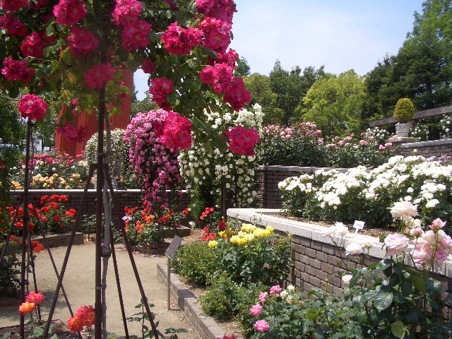 b0163750_18381021.jpg