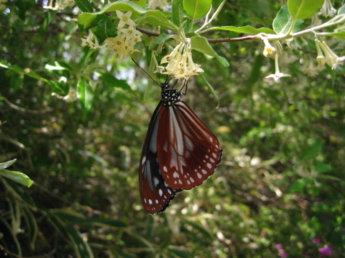 c0179351_14145650.jpg
