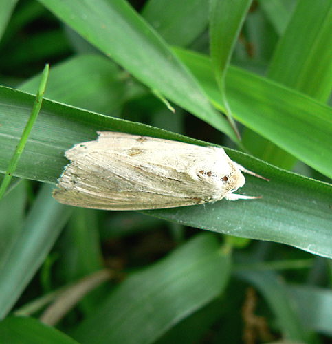 d0091754_02210100.jpg