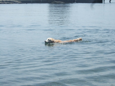 c0097558_05951100.jpg