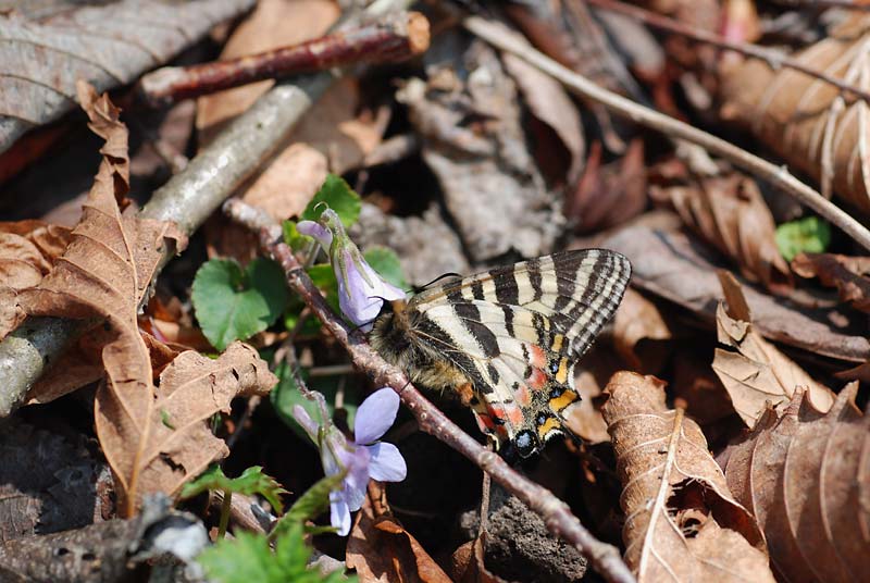 c0043361_016469.jpg