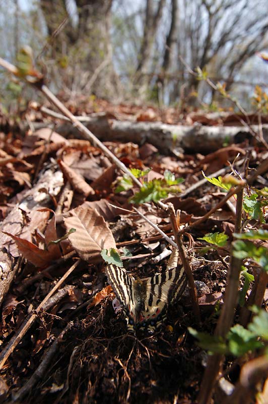 c0043361_0264189.jpg
