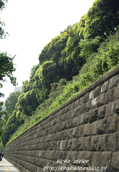a0073065_18525993.jpg