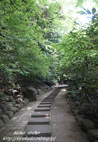 a0073065_1983565.jpg