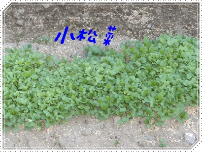 b0149071_17314494.jpg