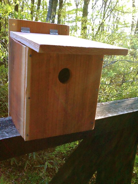 c0082573_2252071.jpg