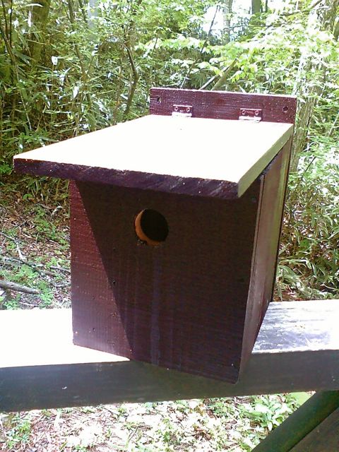c0082573_225408.jpg
