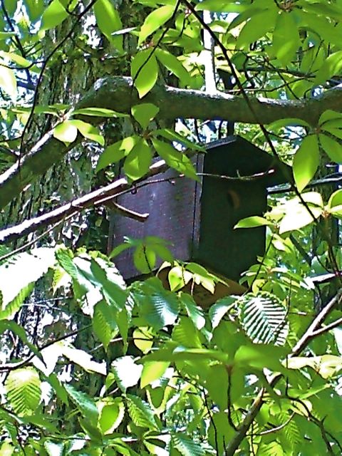 c0082573_22562418.jpg