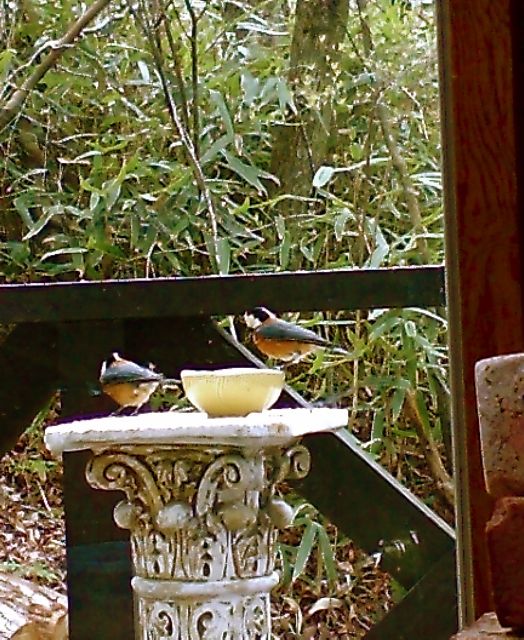 c0082573_232112.jpg