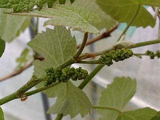 e0158773_0132671.jpg