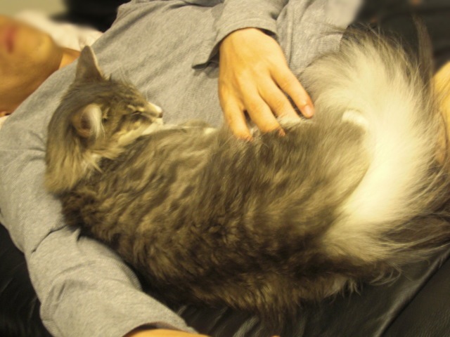 f0200773_84530.jpg