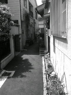 f0100480_2150736.jpg