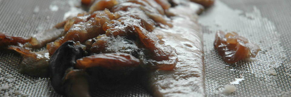 c0170789_22273225.jpg