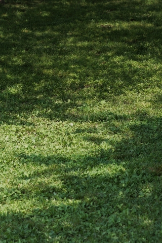 d0133693_2029157.jpg