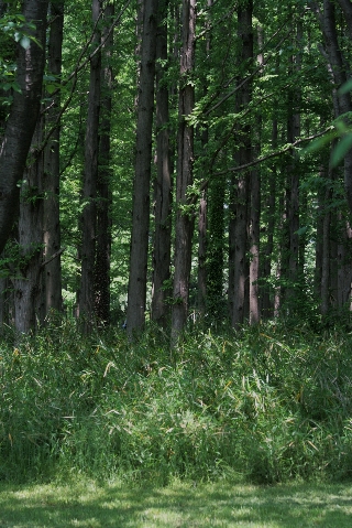 d0133693_2029717.jpg