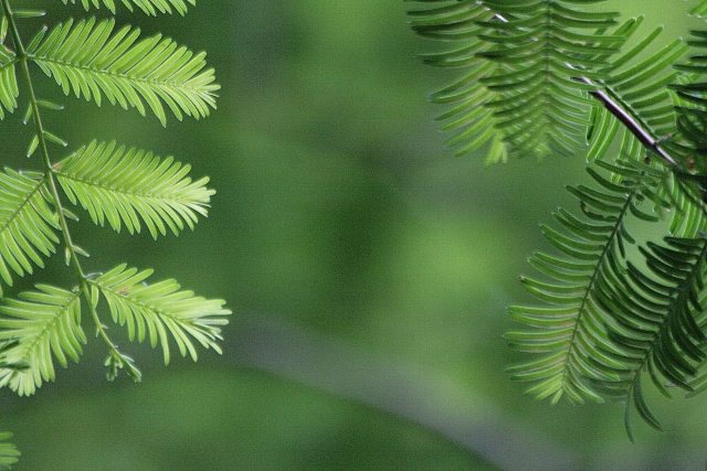 d0133693_20304646.jpg