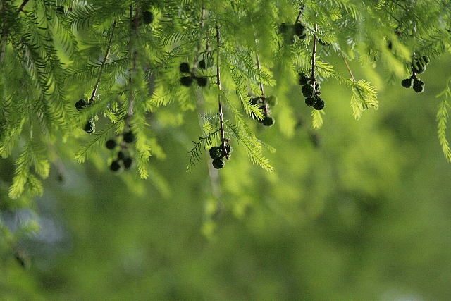 d0133693_20305371.jpg