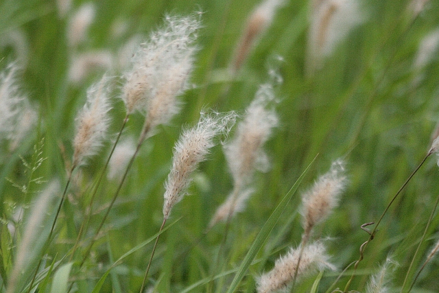 d0133693_20313740.jpg