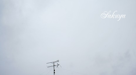 e0122194_22155694.jpg