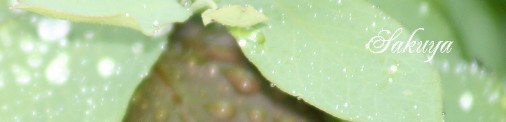 e0122194_22335724.jpg