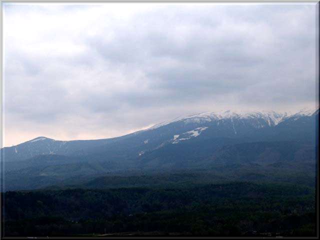 a0043395_20383356.jpg