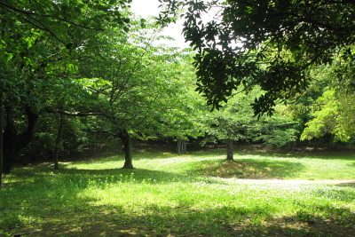 f0103797_1713791.jpg