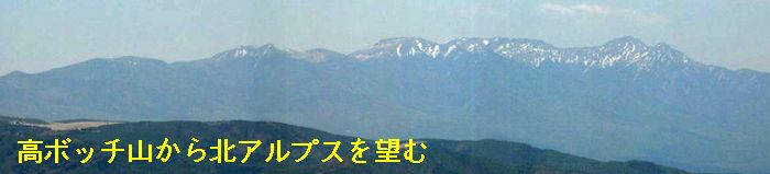 a0097298_1451325.jpg