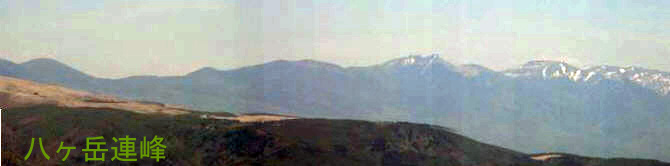 a0097298_1453774.jpg